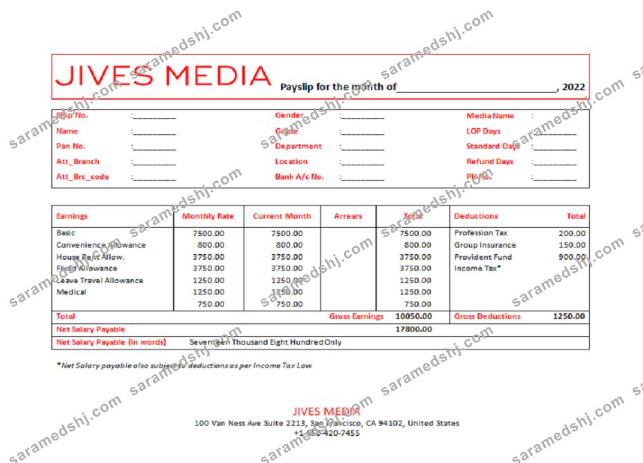 USA Jives Media advertising company pay stub